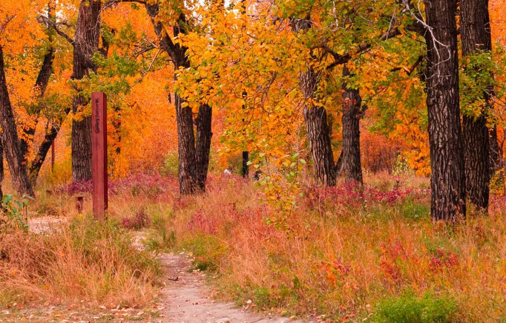 Autumn colors at st. george park calgary city