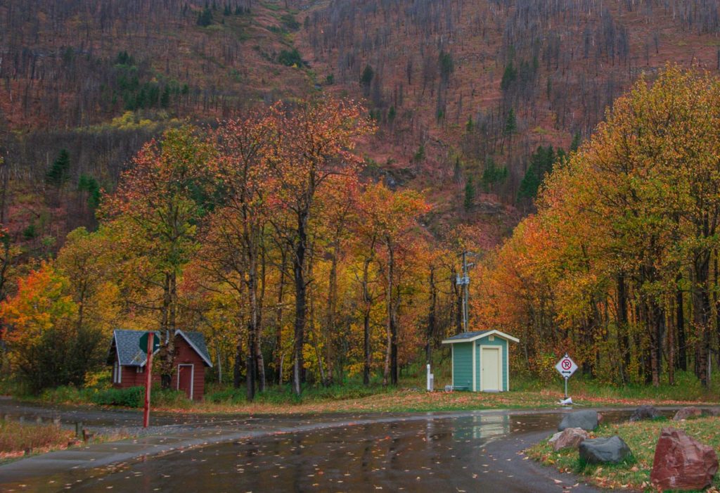 photo of autumn color leave at the town of waterton in waterton national park alberta canada