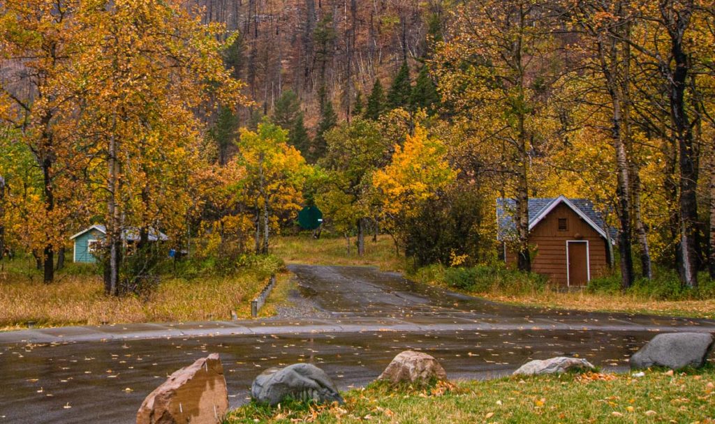 photo of autumn color leave at the town of waterton in waterton national park alberta canada